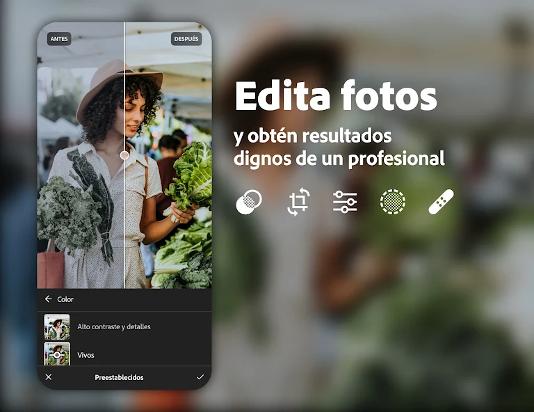 Captura de pantalla de Adobe Lightroom para Android